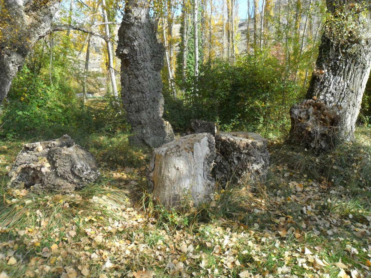 La Posada Del Arba El Frago Zewnętrze zdjęcie